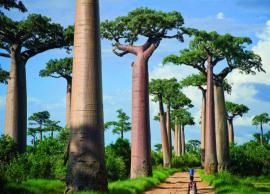 7 Must Visit Natural Wonders of Africa