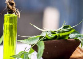 10 Most Amazing Uses of Neem Oil