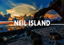 14 Things To Do and See in Neil Island