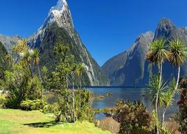 6 Tips To Keep in Mind When Traveling To New Zealand