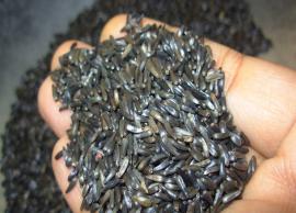 4 Health Benefits of Niger Seeds To Know