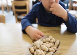 6 Healthy Nuts Your Kids Must Eat