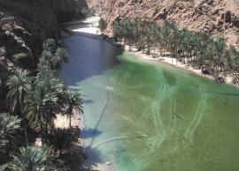 4 Most Beautiful Oases To Visit Near Muscat, Oman
