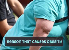 10 Major Reasons That Causes Obesity