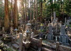 6 Most Amazing Object Graveyards in The World