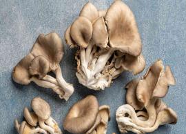 6 Amazing Health Benefits of Oyster Mushrooms 