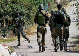 10 Pakistani terrorists traced by Indian Security Agency on illegal border tradings