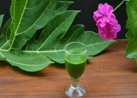 5 Health Benefits of Papaya Leaf Juice Specially for Dengue