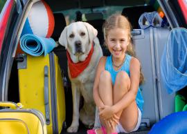 Top Destinations For a Holiday With Your Pet in India