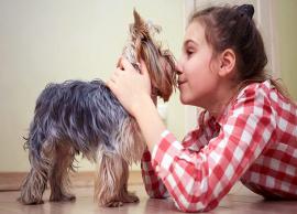 7 Ways To Help You Handle Pet Allergy