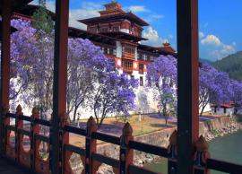 6 Must Visit Toursit Attraction in Phuentsholing, Bhutan