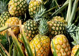 Here are Some Benefits of Consuming Pineapples For Your Skin and Hair