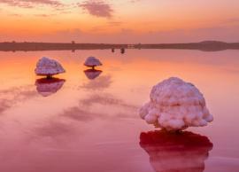 7 Natural Pink Lakes You Can Visit Around The World