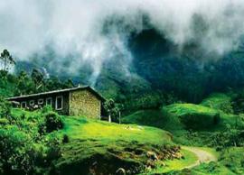 5 Amazing Places To Visit in Munnar