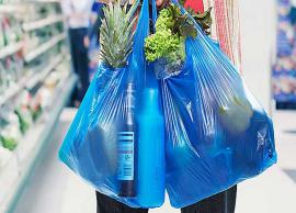 Maharashtra Bans Plastic Bag From Gudi Padwa