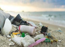 6 Beautiful Beaches That are Now Polluted By Humans