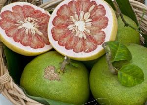 This Fruit is Very Useful To Treat Urinary Infection
