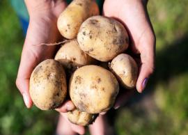 5 Reasons Why Eating Too Many Potatoes Can Harm Your Health