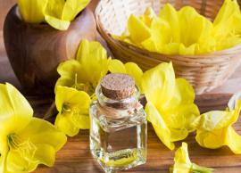 6 Benefits of Evening Primrose Oil You Should Know About