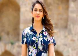 Neither southern film industry, nor Bollywood was my plan says Rakul Preet
