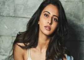 October Fame Rakul Preet Find Happiness in Long Working Hours