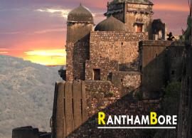 8 Beautiful Places You Can Visit in Ranthambore