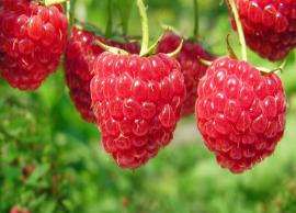 4 Brizzare Health Benefits of Eating Raspberries