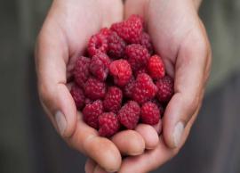 5 Health Benefits of Eating Raspberry