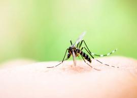 5 Home Remedies To Fight Dengue