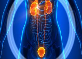Here are 7 Kidney-Friendly Foods That Help Promote Optimal Renal Function