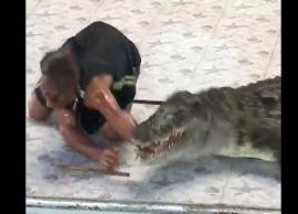 VIDEO- Reptile handler is attacked by a crocodile in Thailand