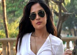 Save elephants from being mowed down by trains: Richa Chadha