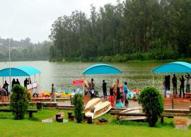6 Most Romantic Places To Explore in Ooty
