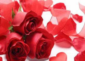 Rose Day 2020- Impress Your Partner With These 10 Rose Day Quotes