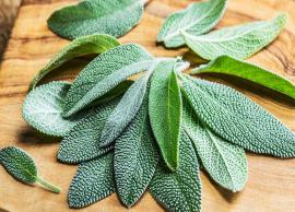 Internal and External Health Benefits of Using Sage Herb