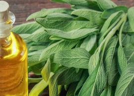 5 Benefits of Sage To Hair