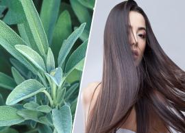 5 Amazing Beauty Benefits of Using Sage For Hair