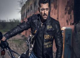 Salman Khan to shoot for Dabangg 3 and Bharat simultaneously