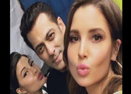 Salman Khan hangs out with Jacqueline Fernandez and her doppelganger Amanda Cerny 