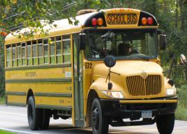 Do You Know Why All School Buses Color is Kept Yellow? Read Here