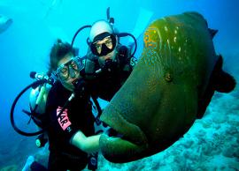 5 Finest Destinations for Scuba Diving in India
