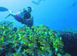 5 Best Places in India To Enjoy Scuba Diving