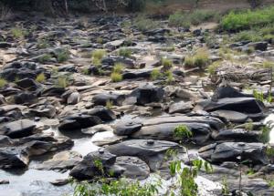 This River in Karnataka Offers Water to Thousands of Shivling