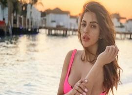 Shama Sikander turns Barbie in a hot pink bikini on her recent vacay