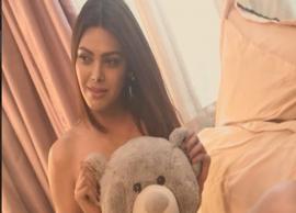 HOT VIDEO- Sherlyn Chopra Shares Nude Video With Teddy