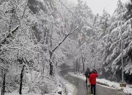 6 Must Visit Places in Shimla