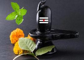Do You Know Why Tulsi Leaves are Not Offered on Shivling?