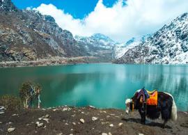 6 Attractions Not To Miss in Sikkim