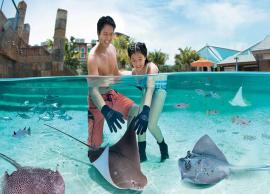 5 Must Do Things in Singapore With Kids