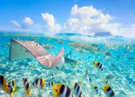 5 Snorkeling Sites To Explore in The World